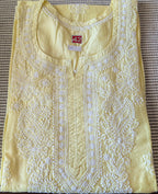 Chanderi Chikankari Kurti with Cut Daani work