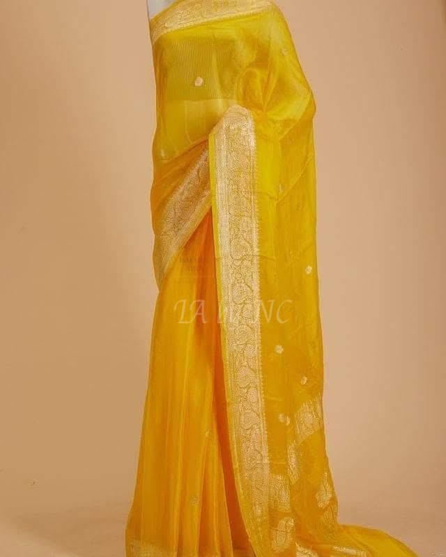 Banarasi Tissue Saree (Pre-order)
