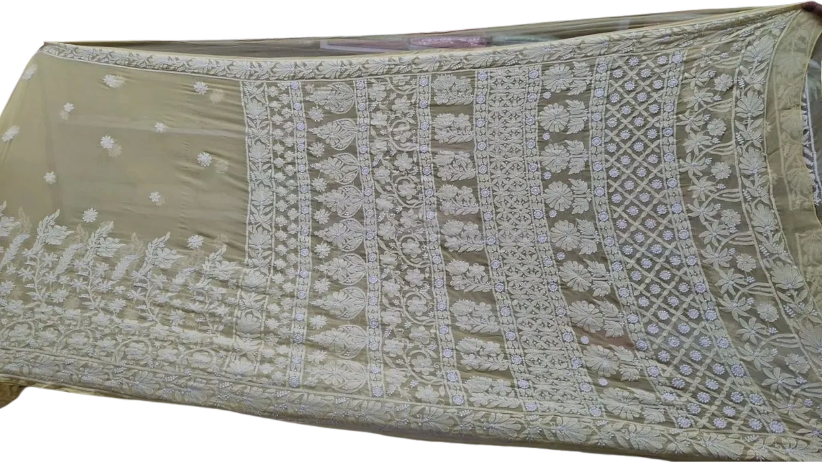 Georgette Saree with heavy chikankari 2 (Pre-order)