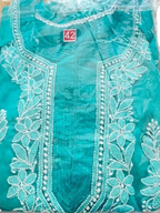 Georgette Chikankari Short Top L